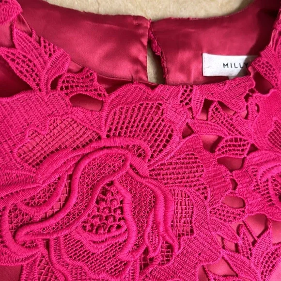 Milly Women's Round Neck Cap Sleeves Lined Lace Blouse Pink Size M - Picture 7 of 9